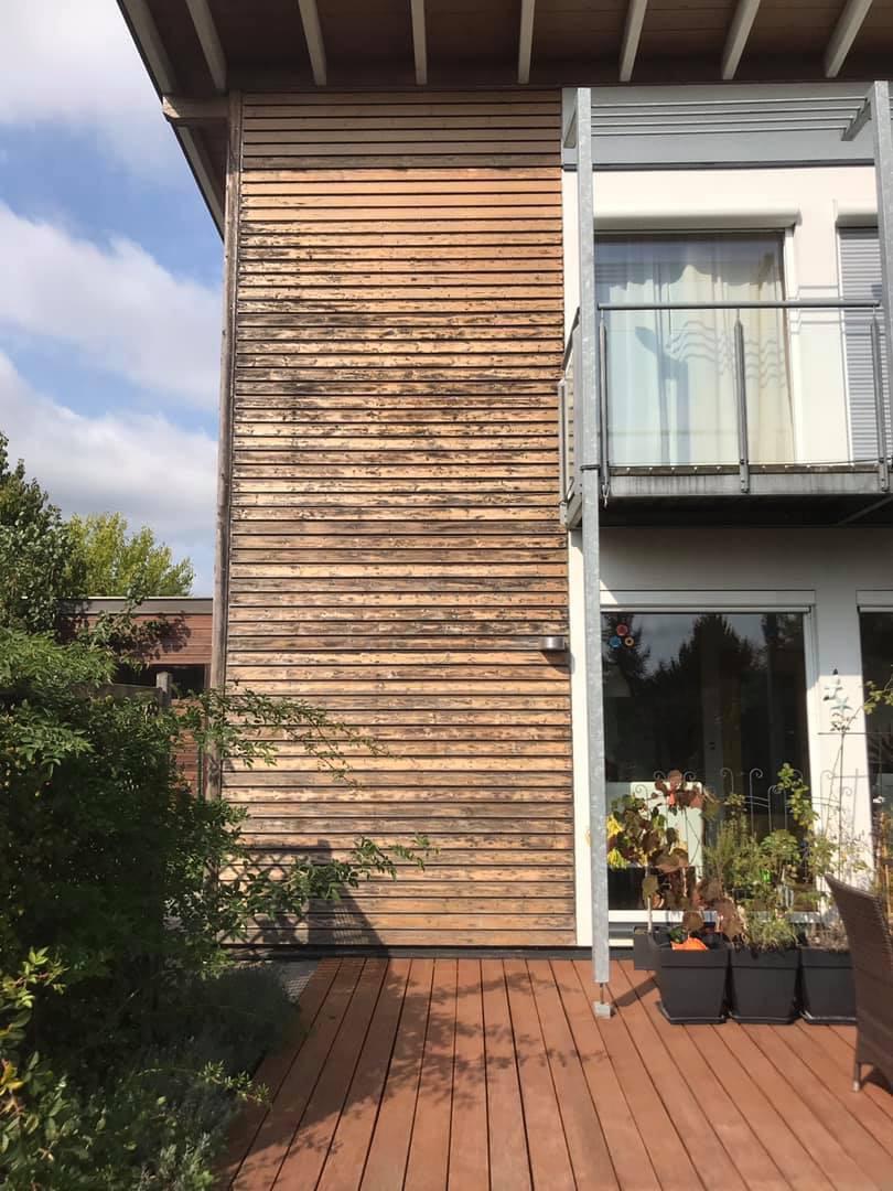 Holz 003